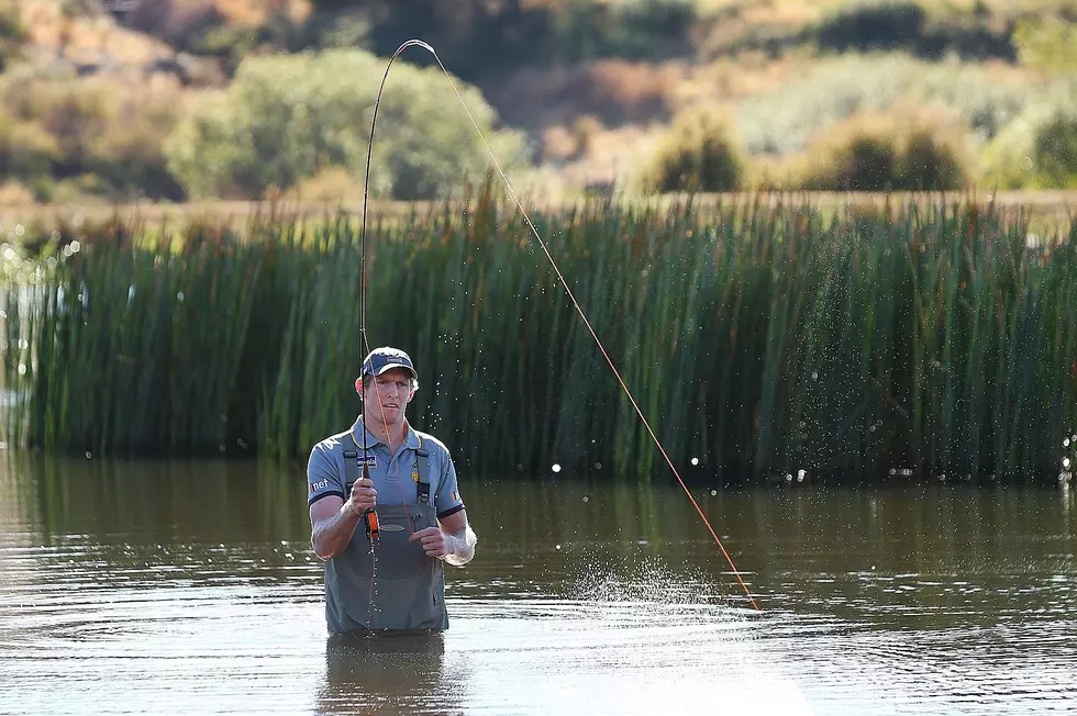 Illegally Introduced Fish in Huck Finn Pond