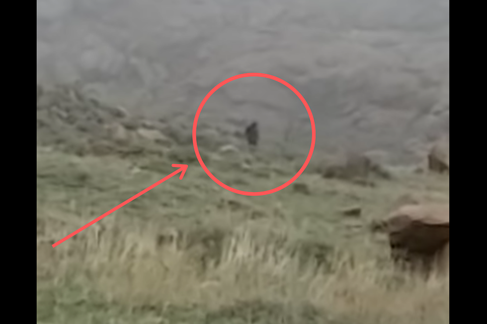 Video Shows What Could Be Bigfoot Near Laramie