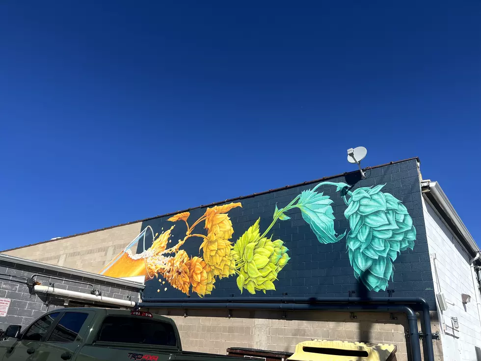 Laramie Has A New Mural &#8211; Here&#8217;s Where!