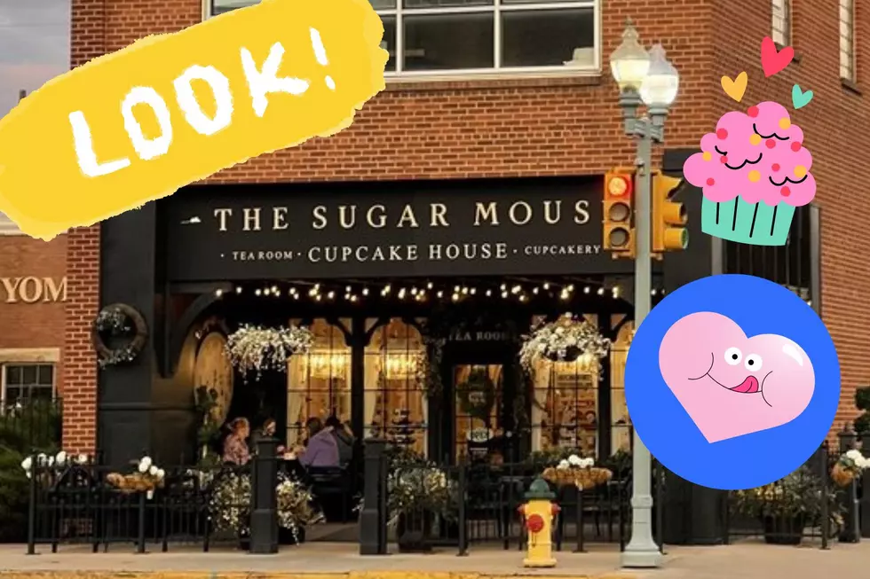 LOOK At All The Fun Seasonal Cupcakes From Sugar Mouse