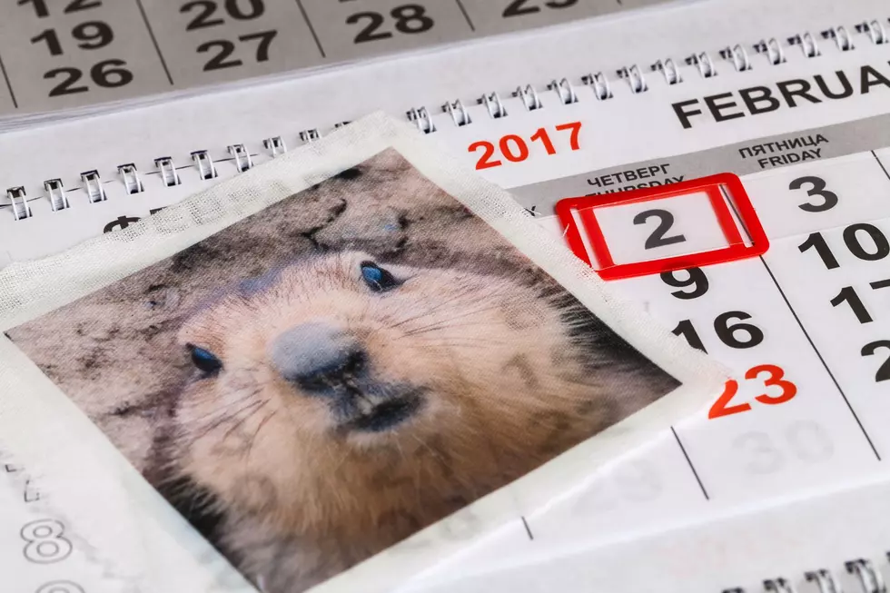 Univ. of Wyoming to Give Public Talk on Groundhog Day