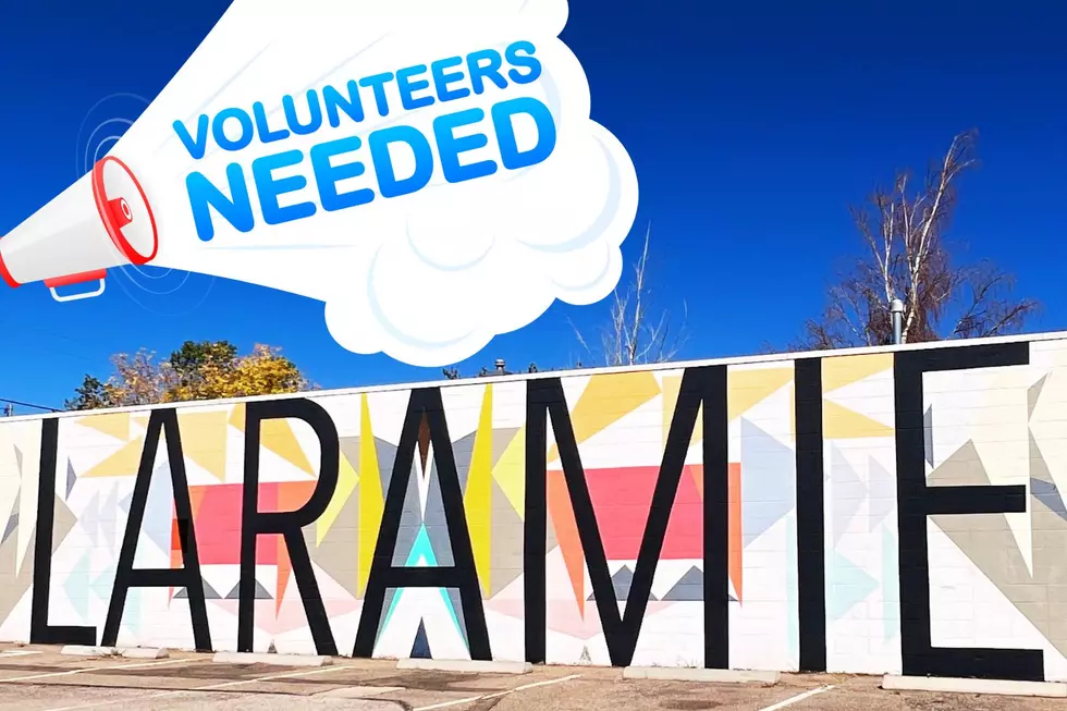 Come And Serve On The City Of Laramie Boards & Commissions