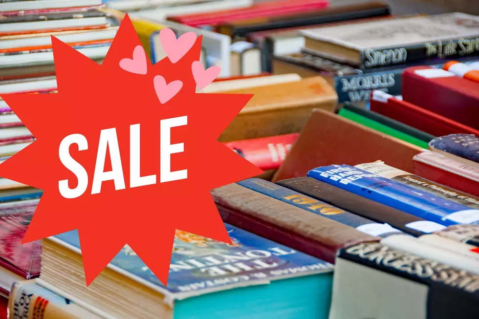 Join Albany County Public Library For A Spring Book Sale
