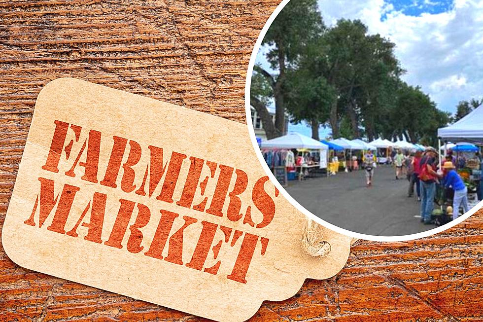 [LIST] 2023 Laramie Farmers Market Vendors: Who’s Your Favorite?