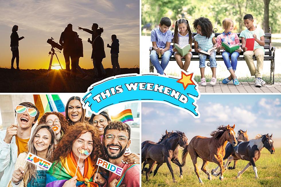 This Weekend in Laramie: Stargazing, Parties, Horses + Family Fun