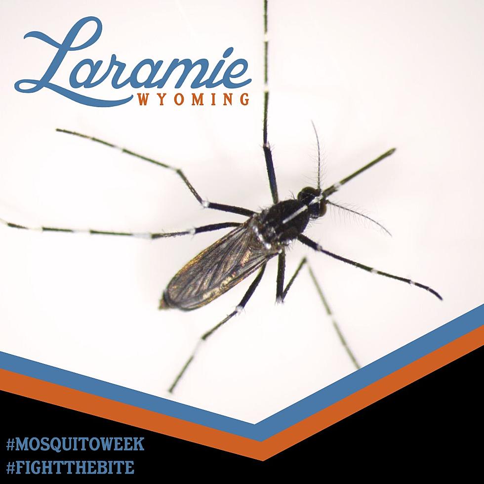 West Nile Virus Detected in Laramie Mosquitos