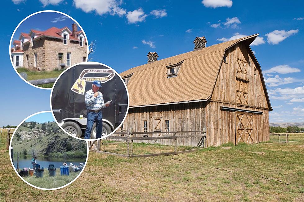 Find #Real Ranch Life on the Albany County CattleWomen Ranch Tour