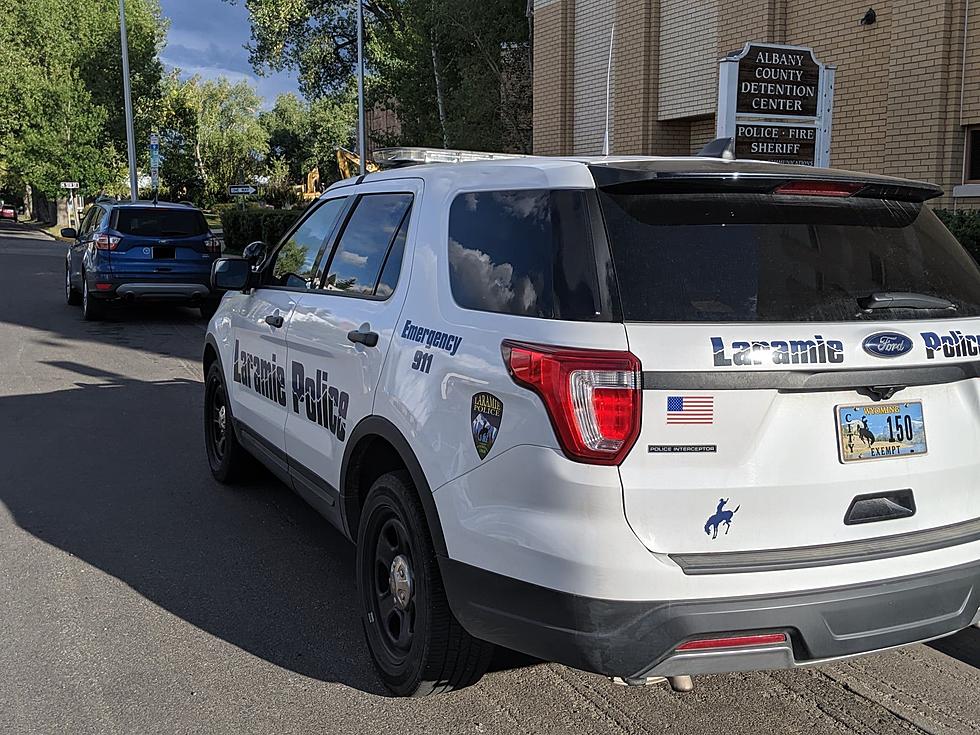 Laramie Police Citizen Review Board Need Criminal History Checks