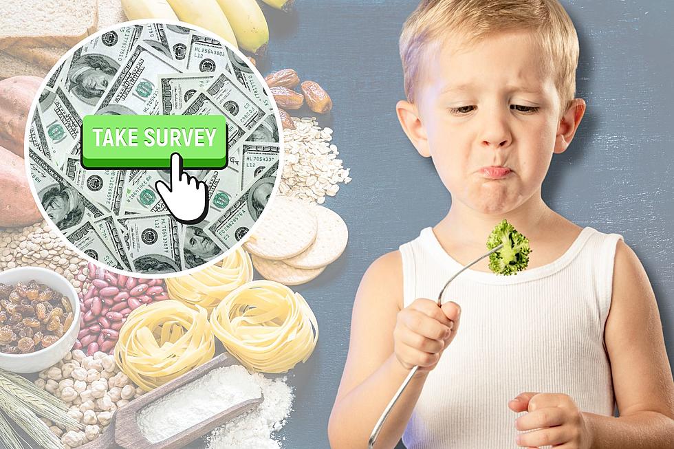 Parents of Wyoming Picky Eaters: Share Your Strategies + Get Paid