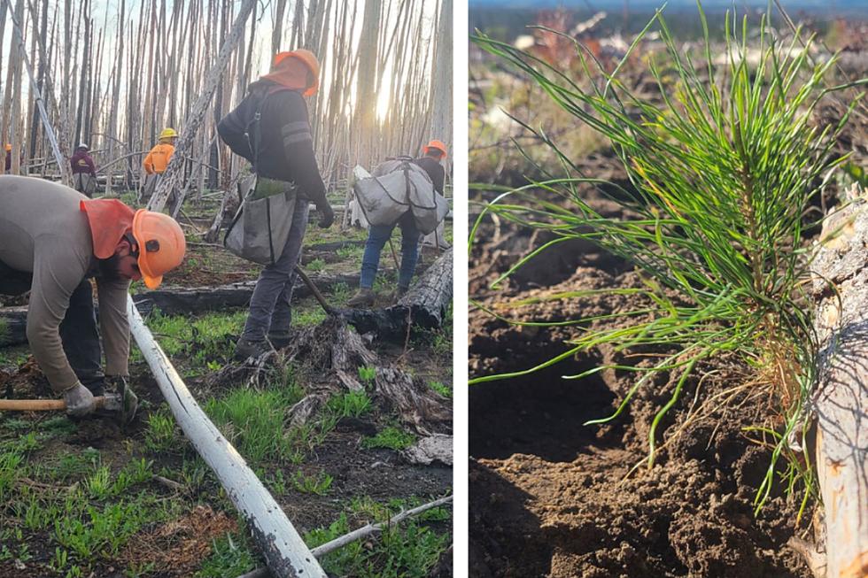 Go on a Field Trip with Medicine Bow Crew in Laramie