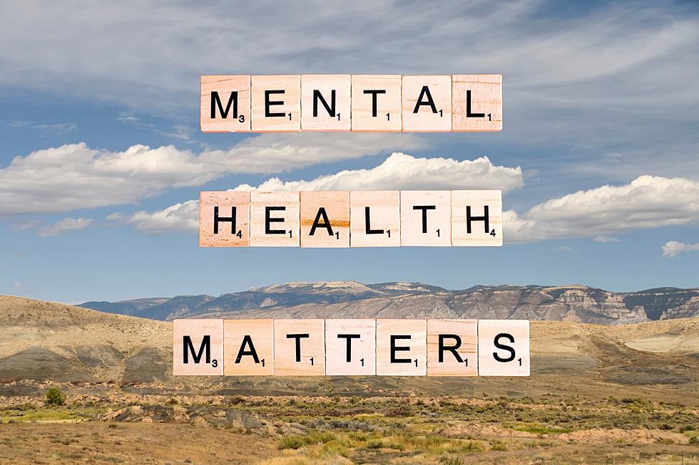 Wyoming is Listening: WDH Wants to Expand Mental Health Care