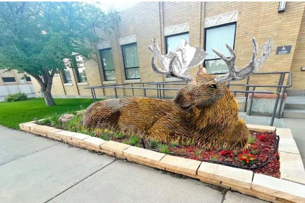 Interactive Moose Coming to Laramie