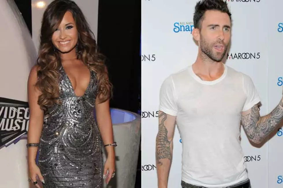 Demi Lovato Wants to Work With Adam Levine