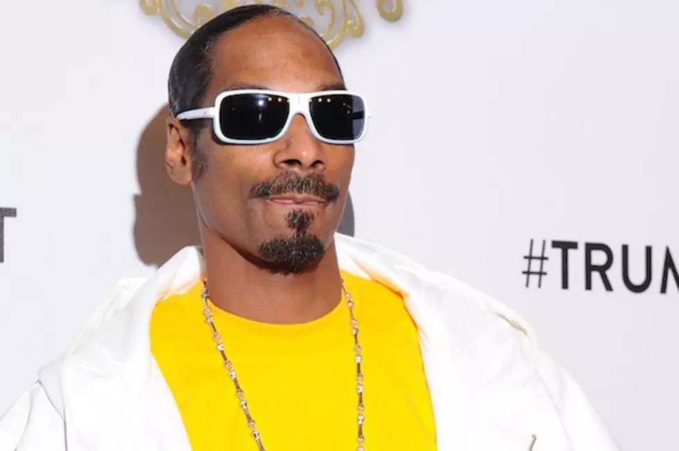 Snoop Dogg to Star in Fillmore Slim Biopic
