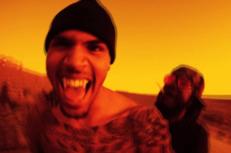 Chris Brown Is a Wolf in Paris in New Freestyle Video