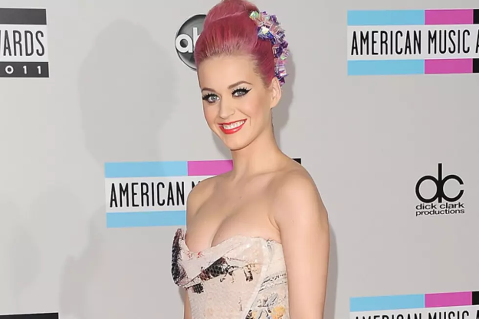 Katy Perry Isn&#8217;t Pregnant, Blames Pizza for Starting Rumors