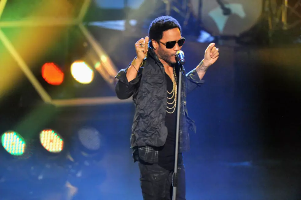 Lenny Kravitz Accidentally Flashes Swedish Crowd