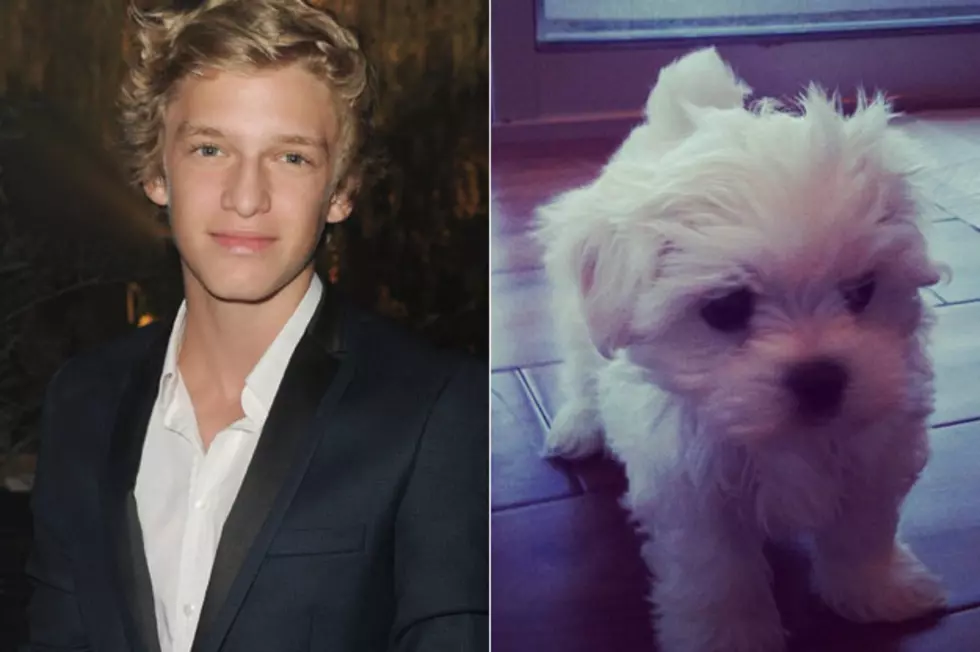 Cutest Pets: Cody Simpson