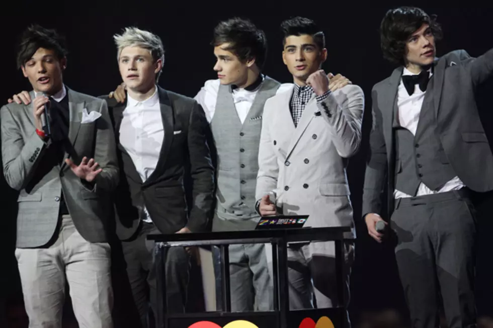 Is There a One Direction Movie in the Works?