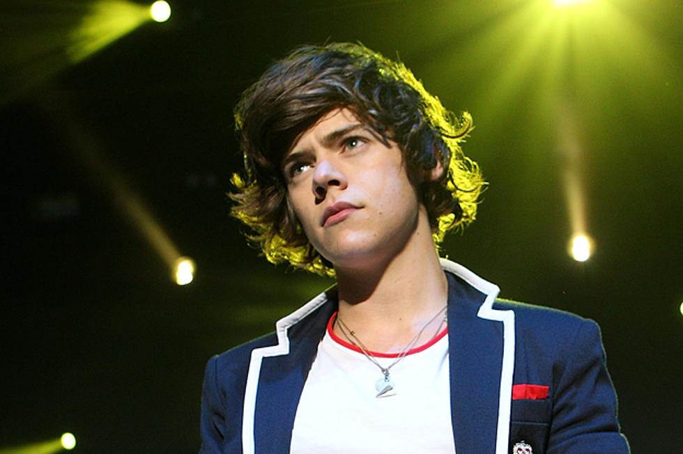 One Direction Member Harry Styles Gets in Argument With Security Guards