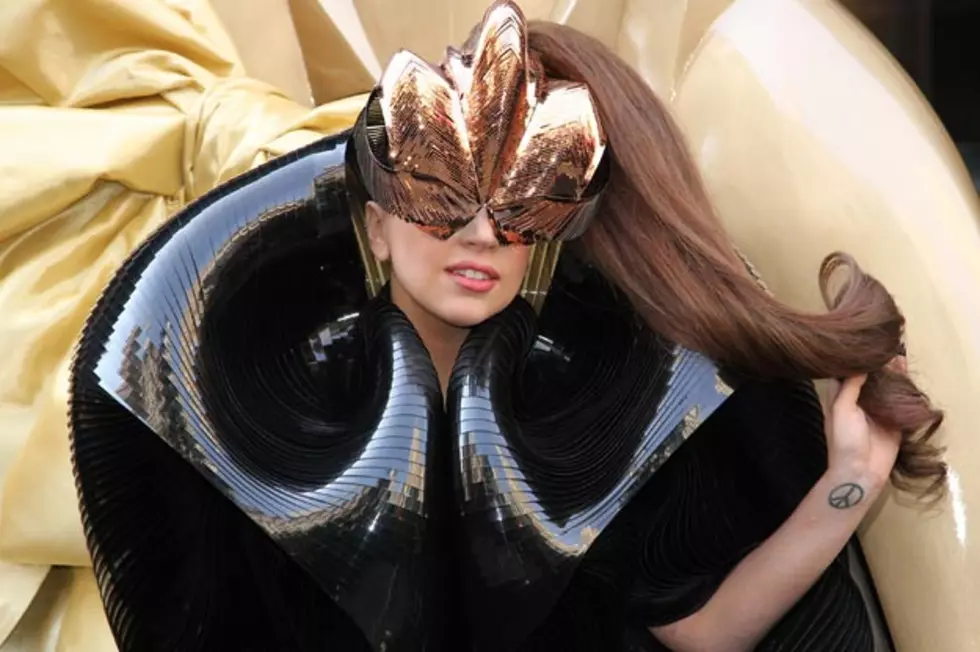 New Insect Named After Lady Gaga