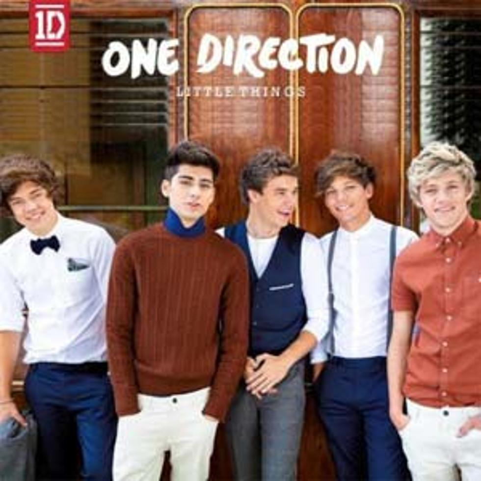 One Direction, &#8216;Little Things&#8217; &#8211; Song Review