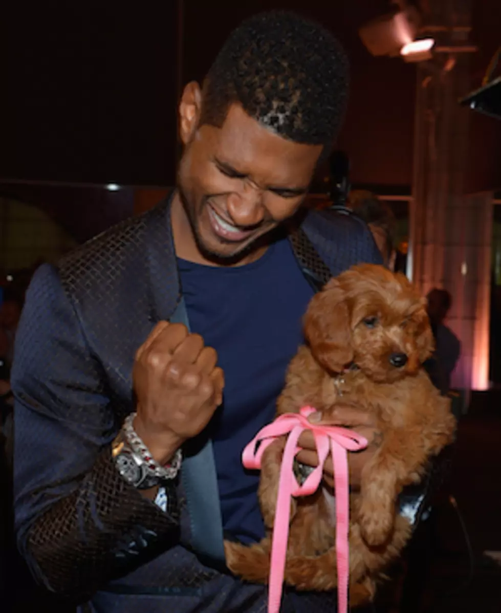 Usher Wins a $12,000 Puppy at Auction