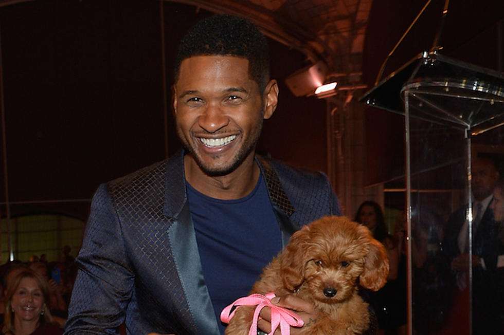 Usher Wins a $12,000 Puppy at Auction