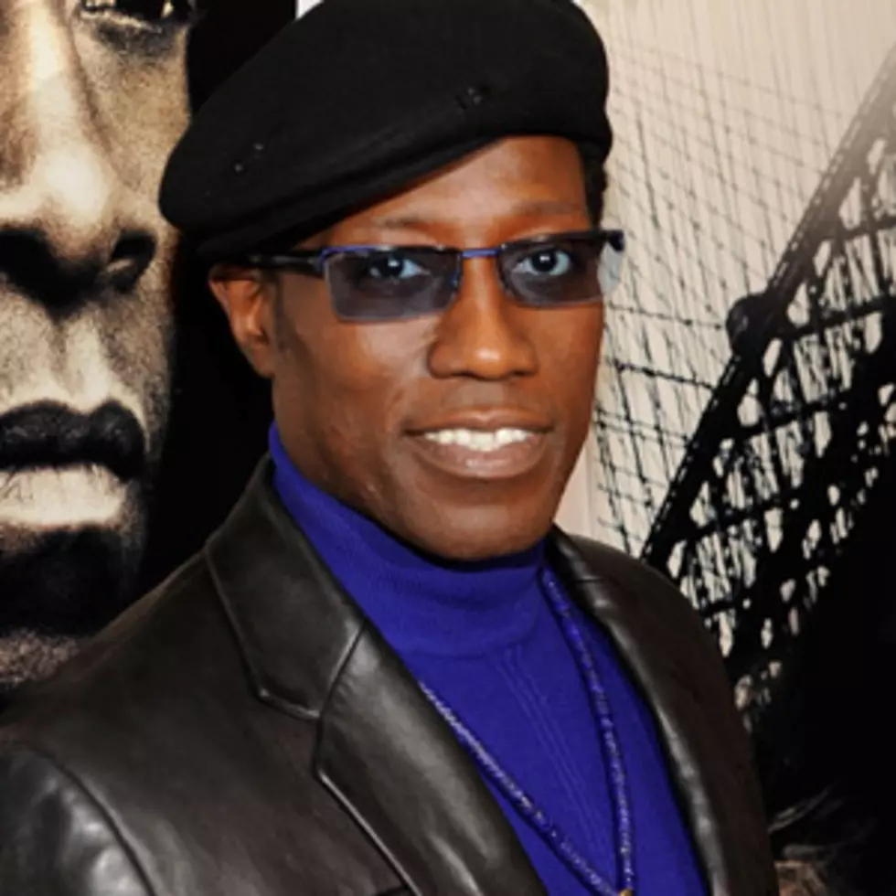 Before They Were Famous: Wesley Snipes