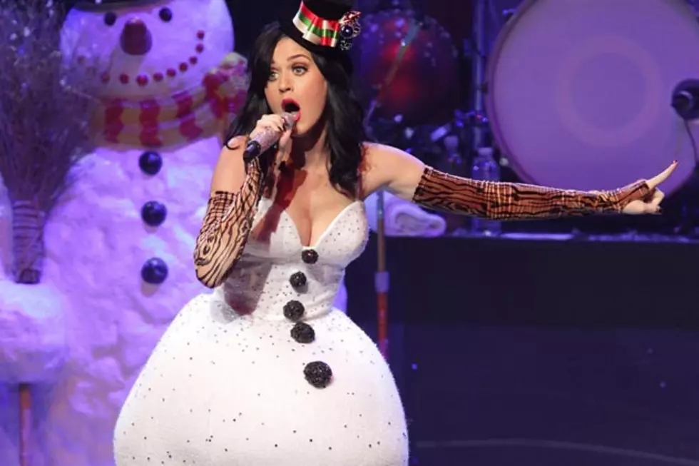 Katy Perry Reveals Holiday Plans for ‘The Sims 3 Seasons’