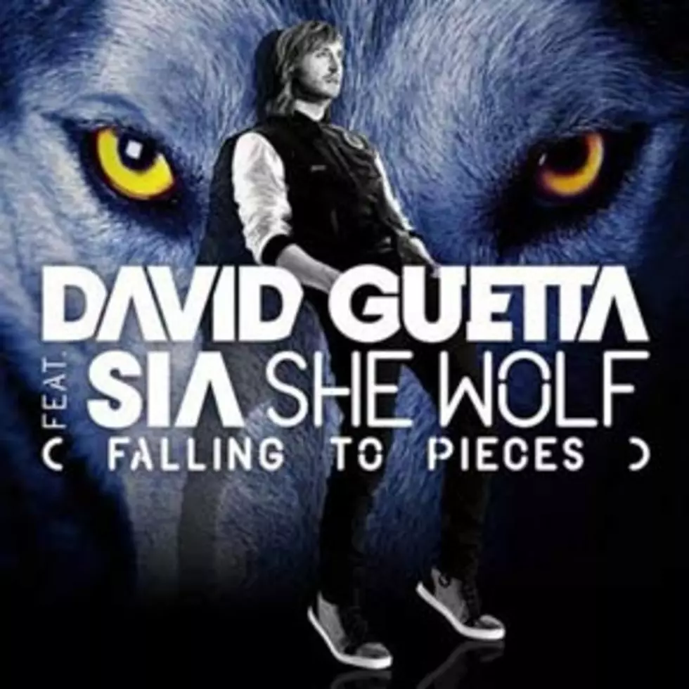 David Guetta, &#8216;She Wolf (Falling to Pieces)&#8217; Feat. Sia &#8211; Best 2012 Dance Songs