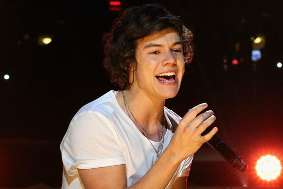 Is One Direction’s Harry Styles Still a Member of His Old Band?