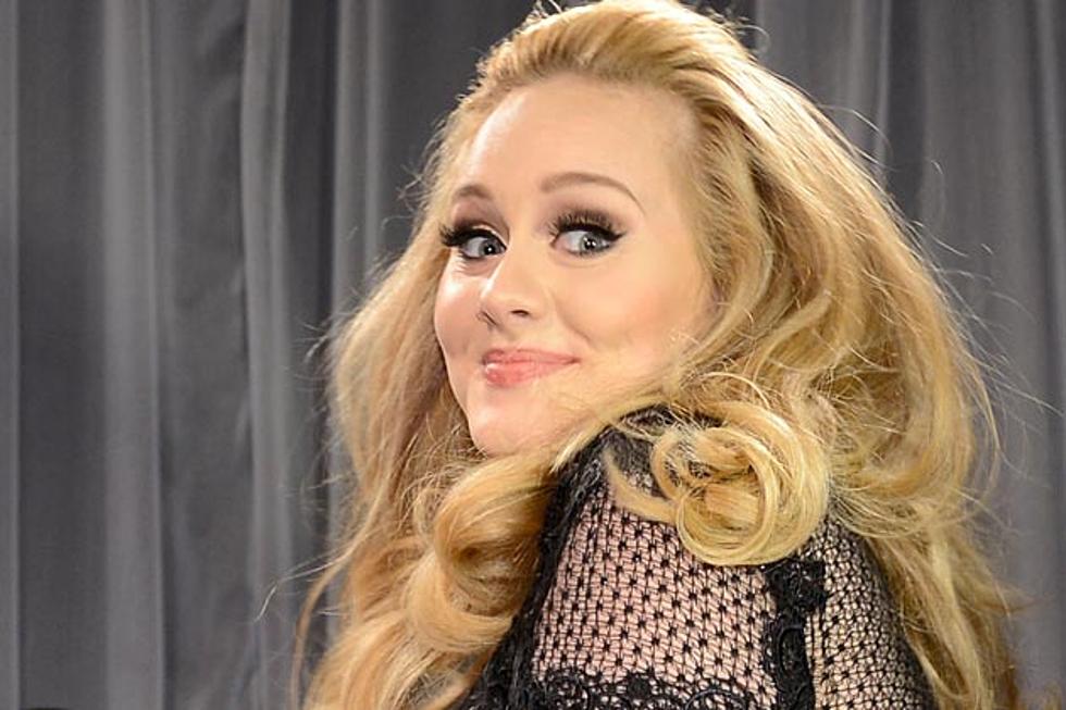 Adele to Release New Album in Mid-2014
