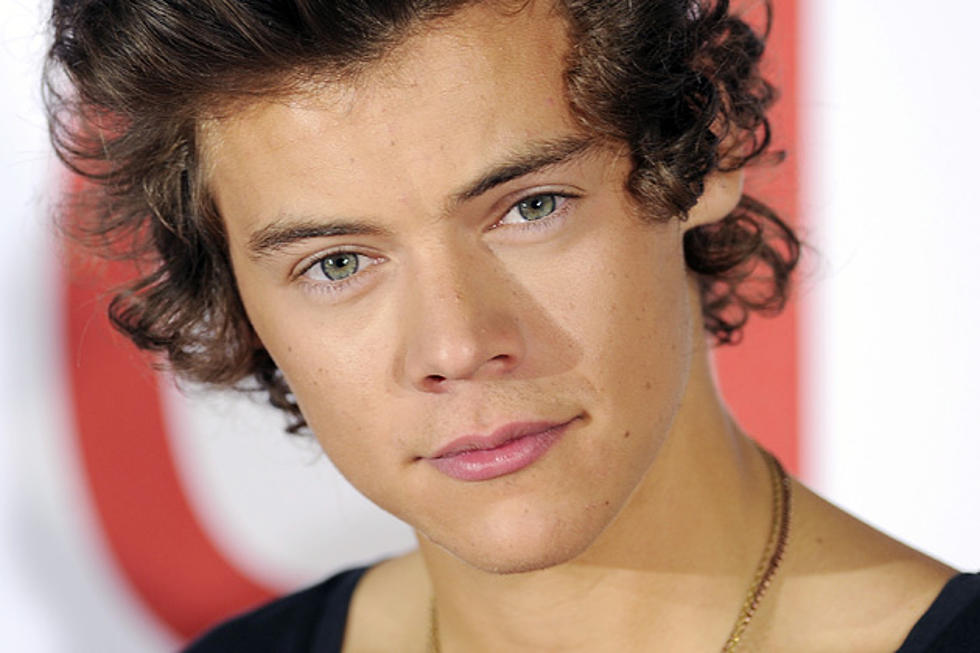 Harry Styles Skypes With Cancer-Stricken Fan, Thanks to Directioners