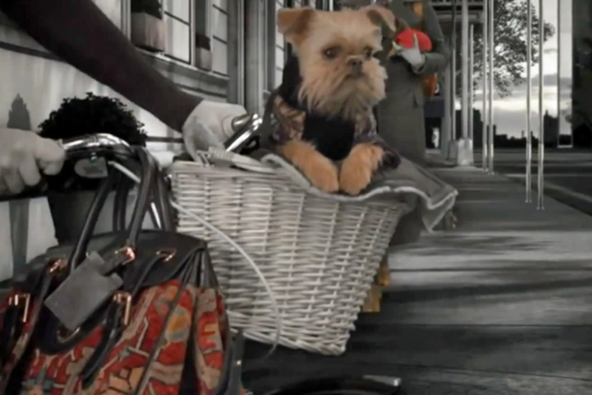Ralph Lauren Dog Walk Commercial – What's the Song?