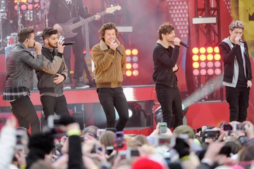 Are One Direction Feuding Over Their Musical Direction?