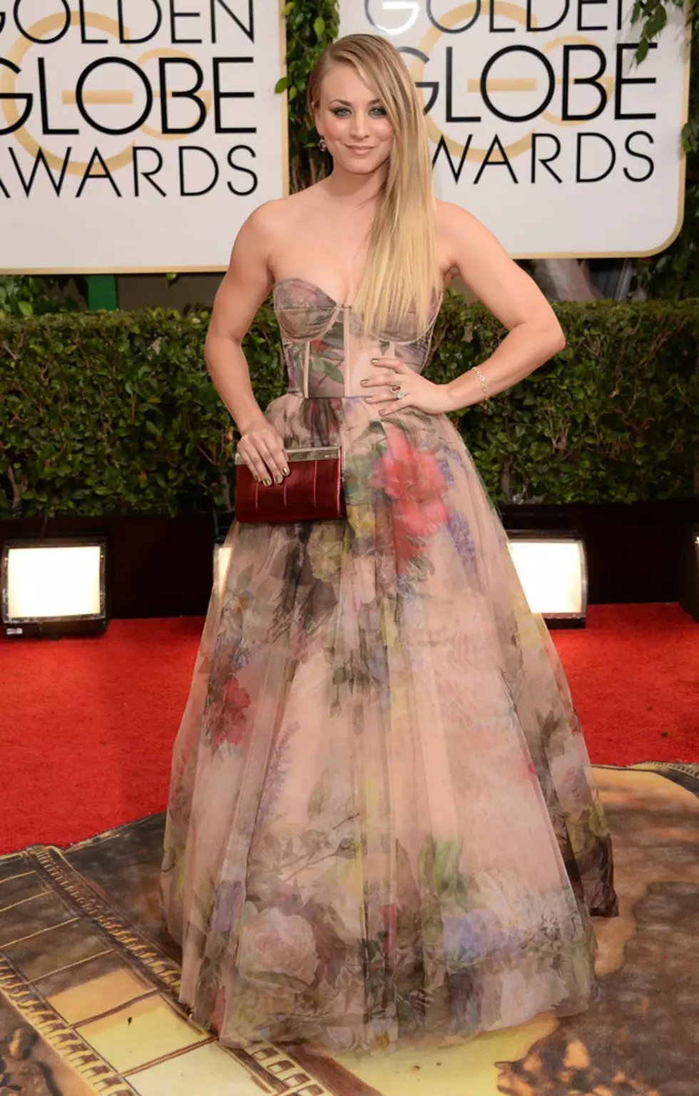 Kaley Cuoco Wears Floral Dress on the 2014 Golden Globes Red Carpet [PHOTOS]