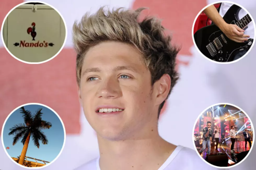 What Would Your Dream Valentines's Day Date Be With Niall Horan? - Readers Poll