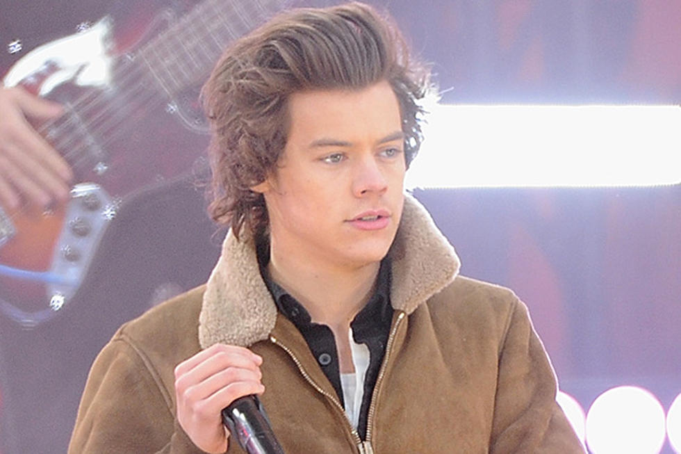 Harry Styles Pulls Down Pants on Stage in Brazil [VIDEO]