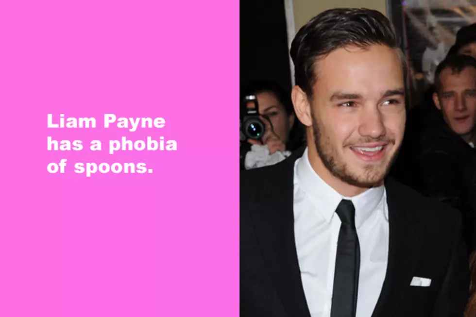 Liam Payne has a phobia of spoons
