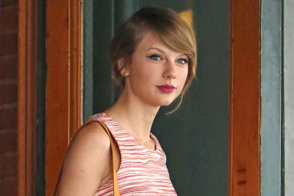 Taylor Swift Adopts a New Adorable Kitten [PHOTO]