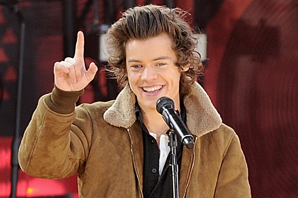 OMG! Harry Styles Proposes to Fan at Concert [VIDEO]