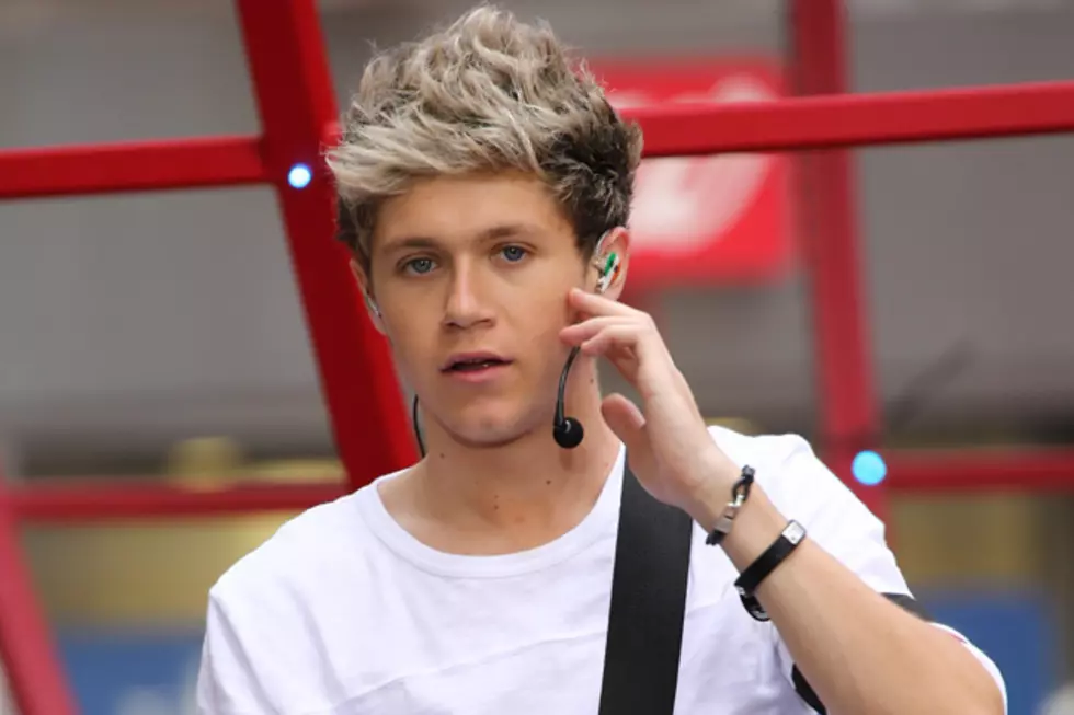 Niall Horan Clarifies Simon Cowell's One Direction Breakup Comments