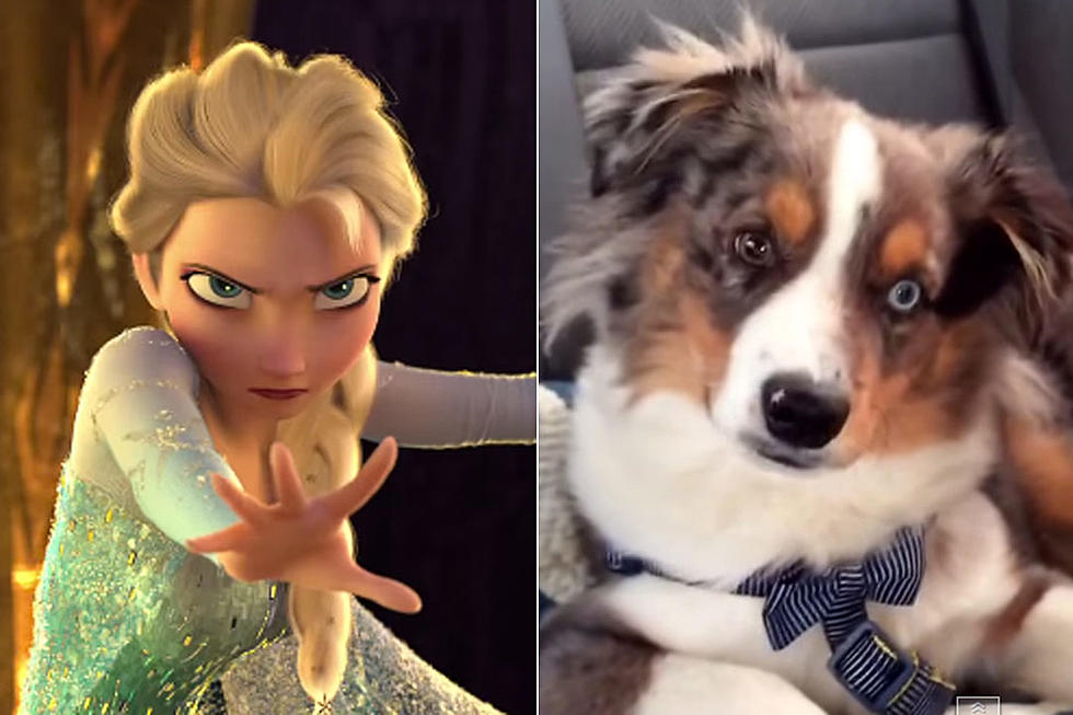Watch This Dog Sing Along to 'Let It Go' from 'Frozen' [VIDEO]