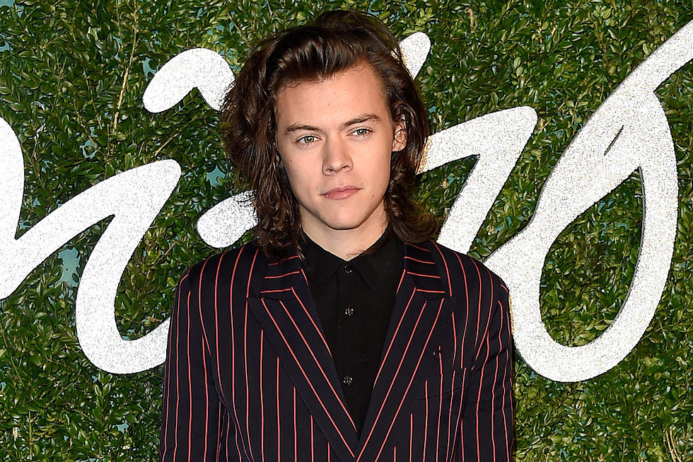 Harry Styles Comforts Fan Having a Panic Attack [VIDEO]