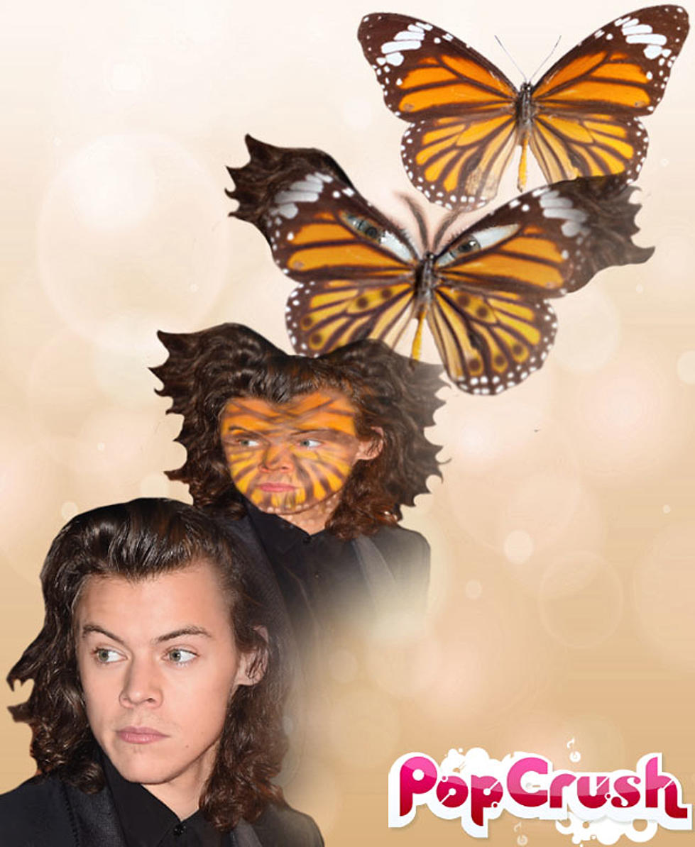 Celebrity Spirit Animals: Harry Styles Transforms Into a Butterfly [PHOTO]