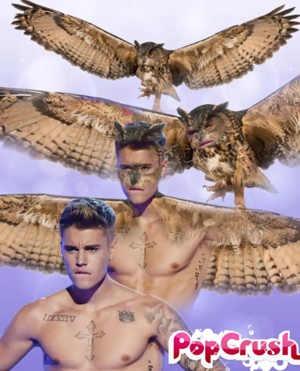 Celebrity Spirit Animals: Justin Bieber Transforms Into an Owl [PHOTO]