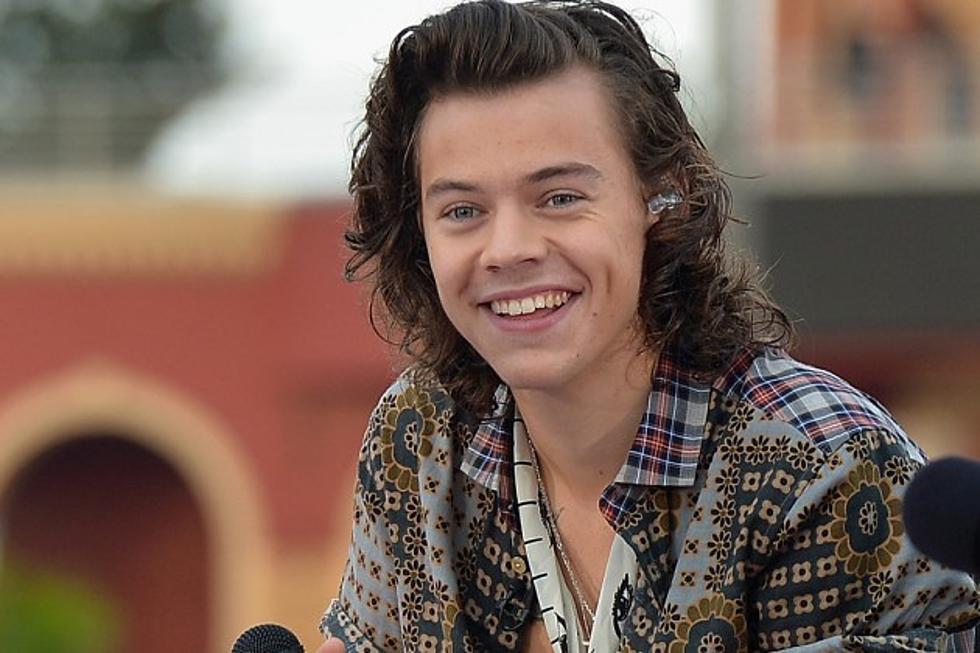 Harry Styles Reportedly Wants to Act, May Win an Oscar Someday