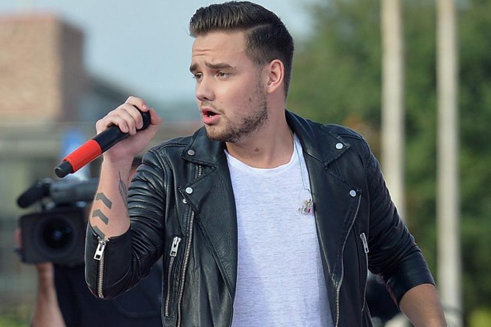 Liam Payne Responds To Directioners&#8217; Homophobia Allegations