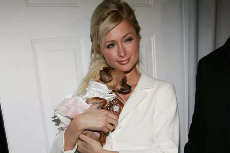 Paris Hilton&#8217;s Dog Tinkerbell Dies